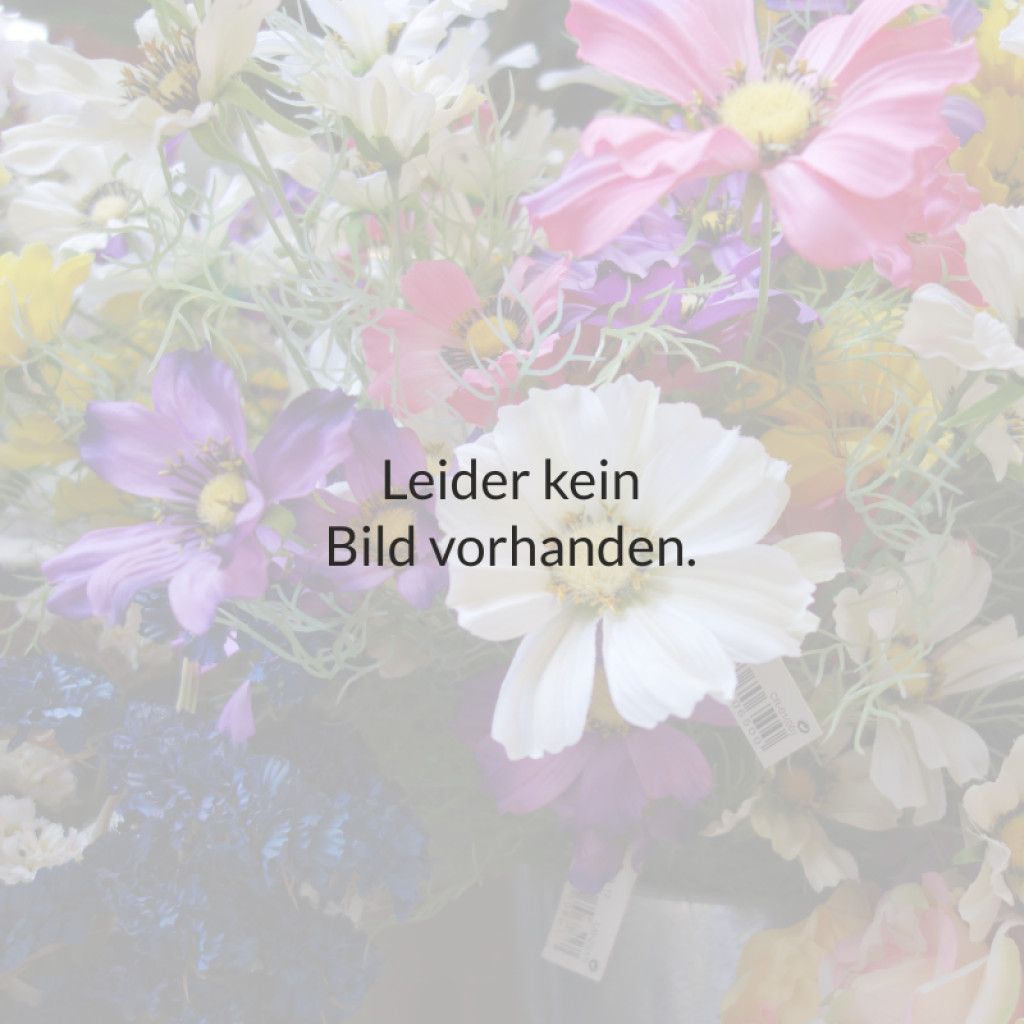 & de Blumen, Garten Bellon\' Ihr Nimmervoll für Floristik! Co – \'Noire Fachmarkt … 10L Feige |